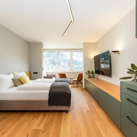 Apartment Und Berg